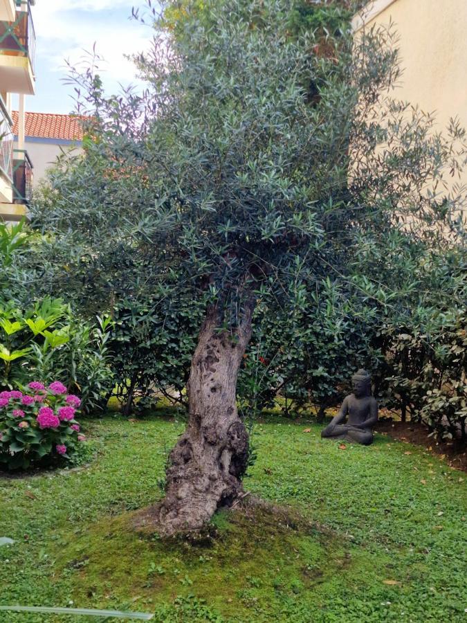 Superbe Appartement Avec Jardin Saint Charles Biarritz Buitenkant foto
